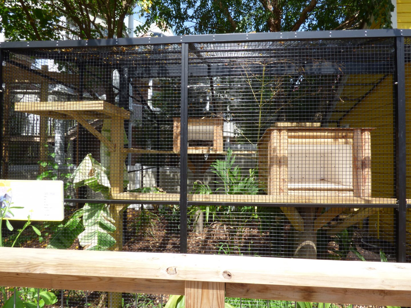Kids Farm - Outdoor Binturong Exhibit