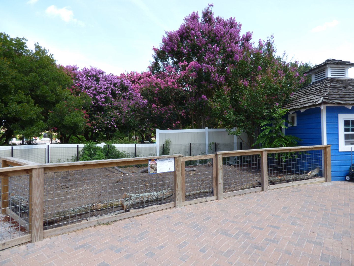 Kids Farm - P. Cavy Exhibit
