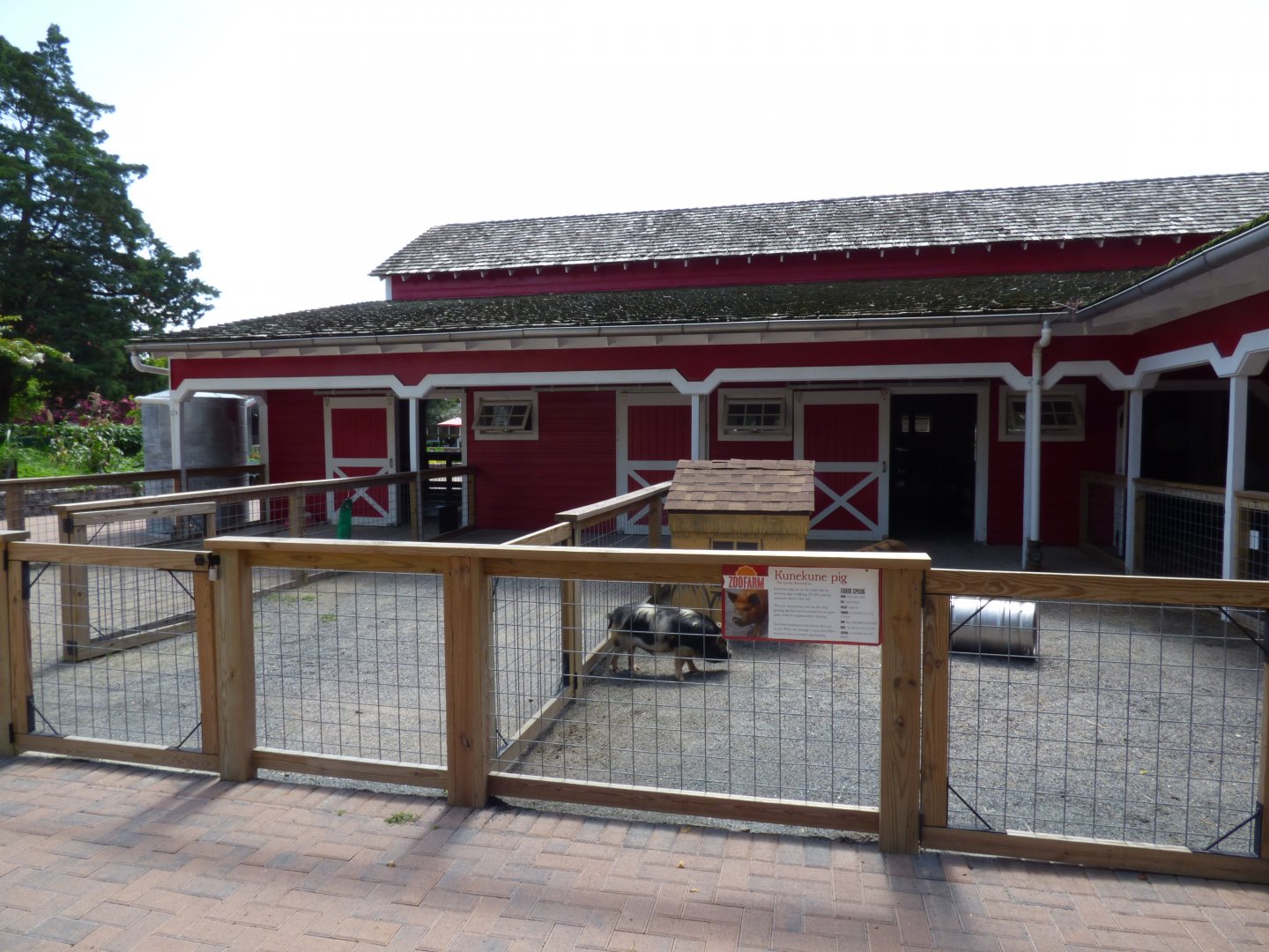 Kids Farm - Pig/Hog Exhibit