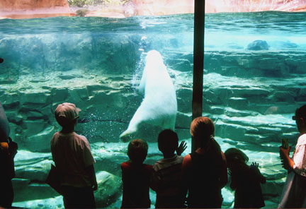 kids in viewing lodge, Memphis Zoo