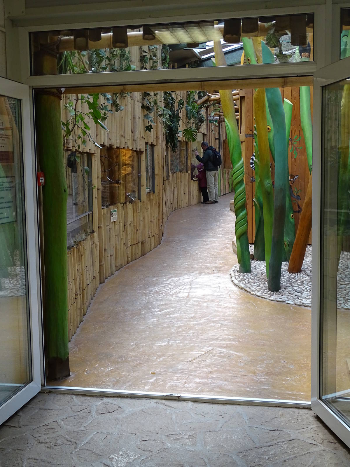 Kids Jungle reptile enclosures