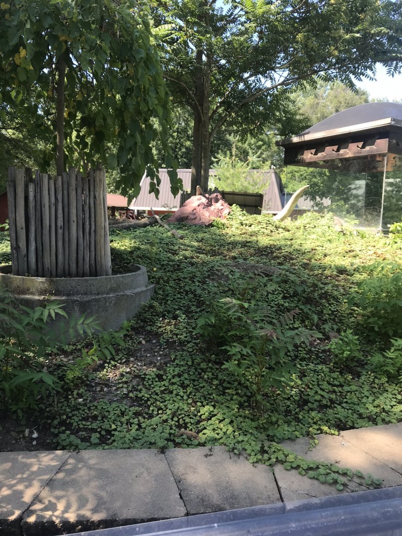 Kids kingdom black tailed prairie dog exhibit