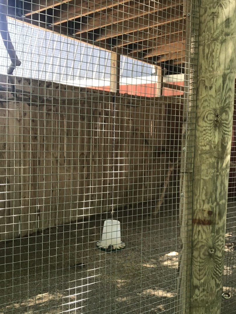 Kids kingdom empty aviary