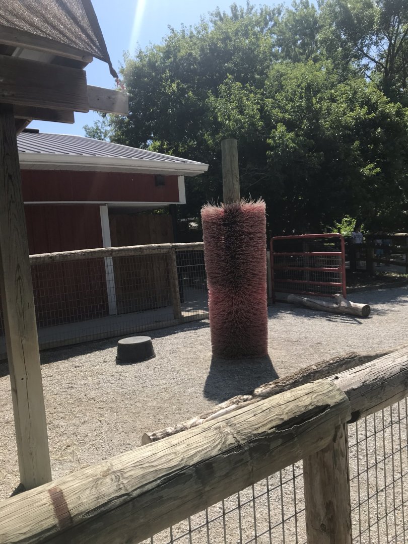 Kids kingdom miniature donkey exhibit