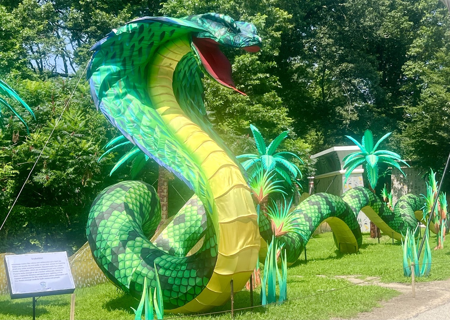 Kids must find this one thrilling