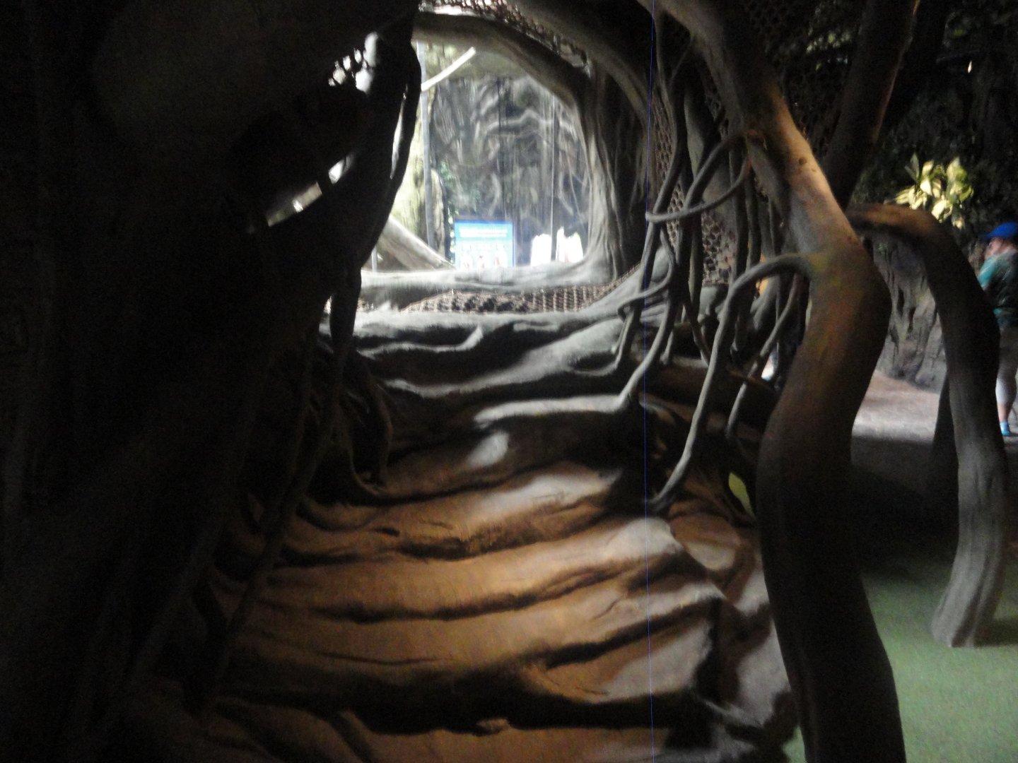 Kids Rock Climb to Net for Elevated Viewing