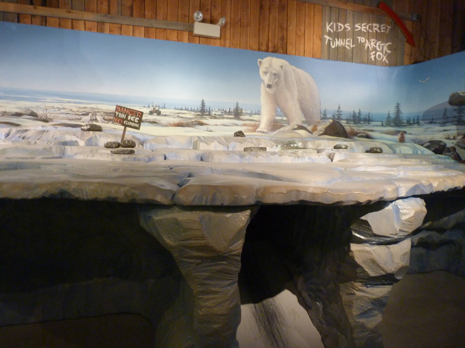 Kids Section - Polar Frontier