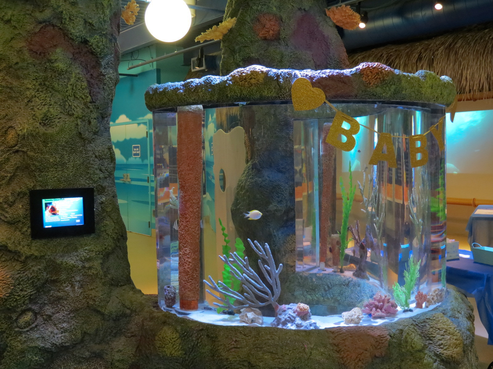 Kids Soft Play Area - Exhibit