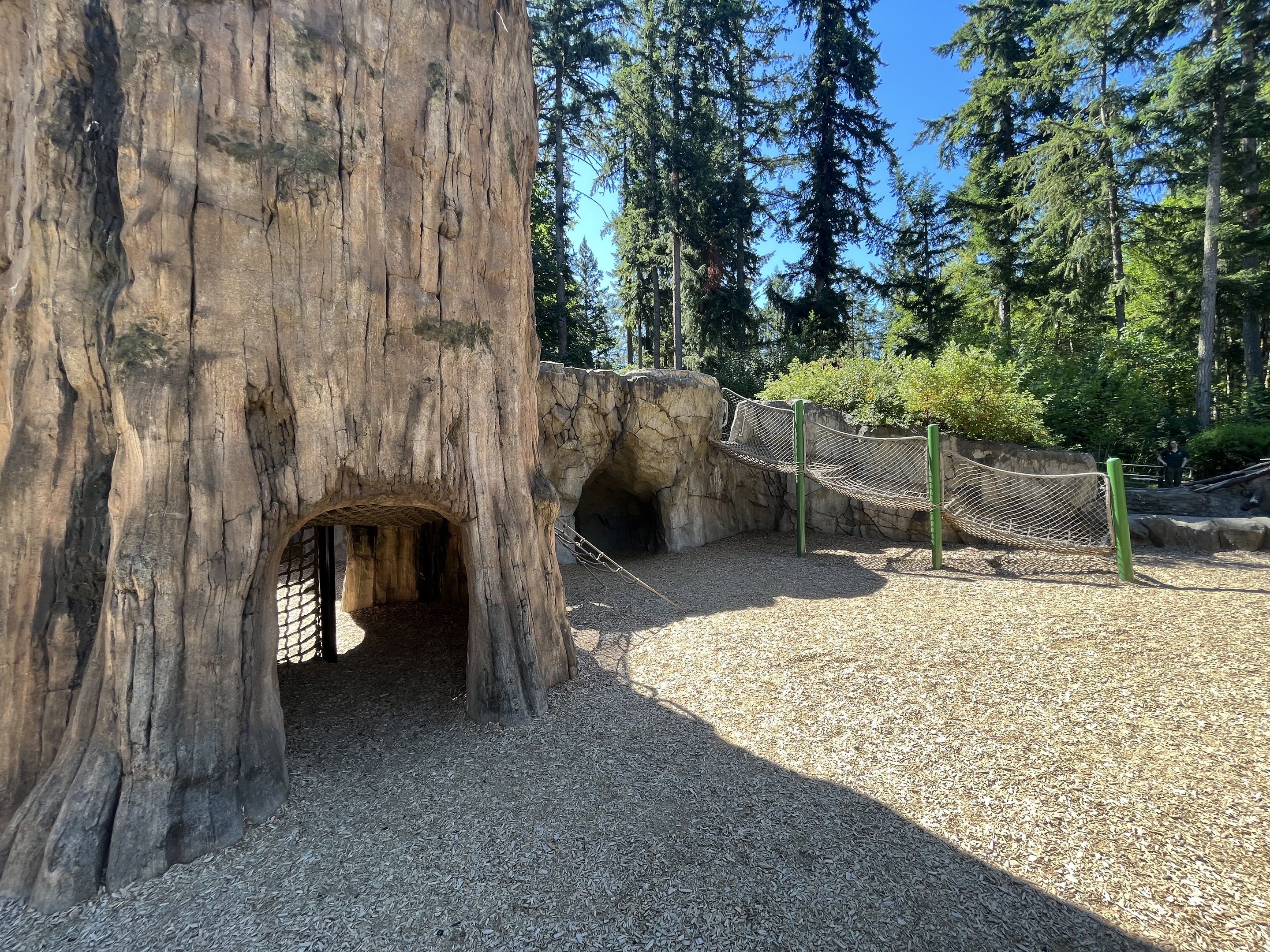 Kids’ Trek Play Area