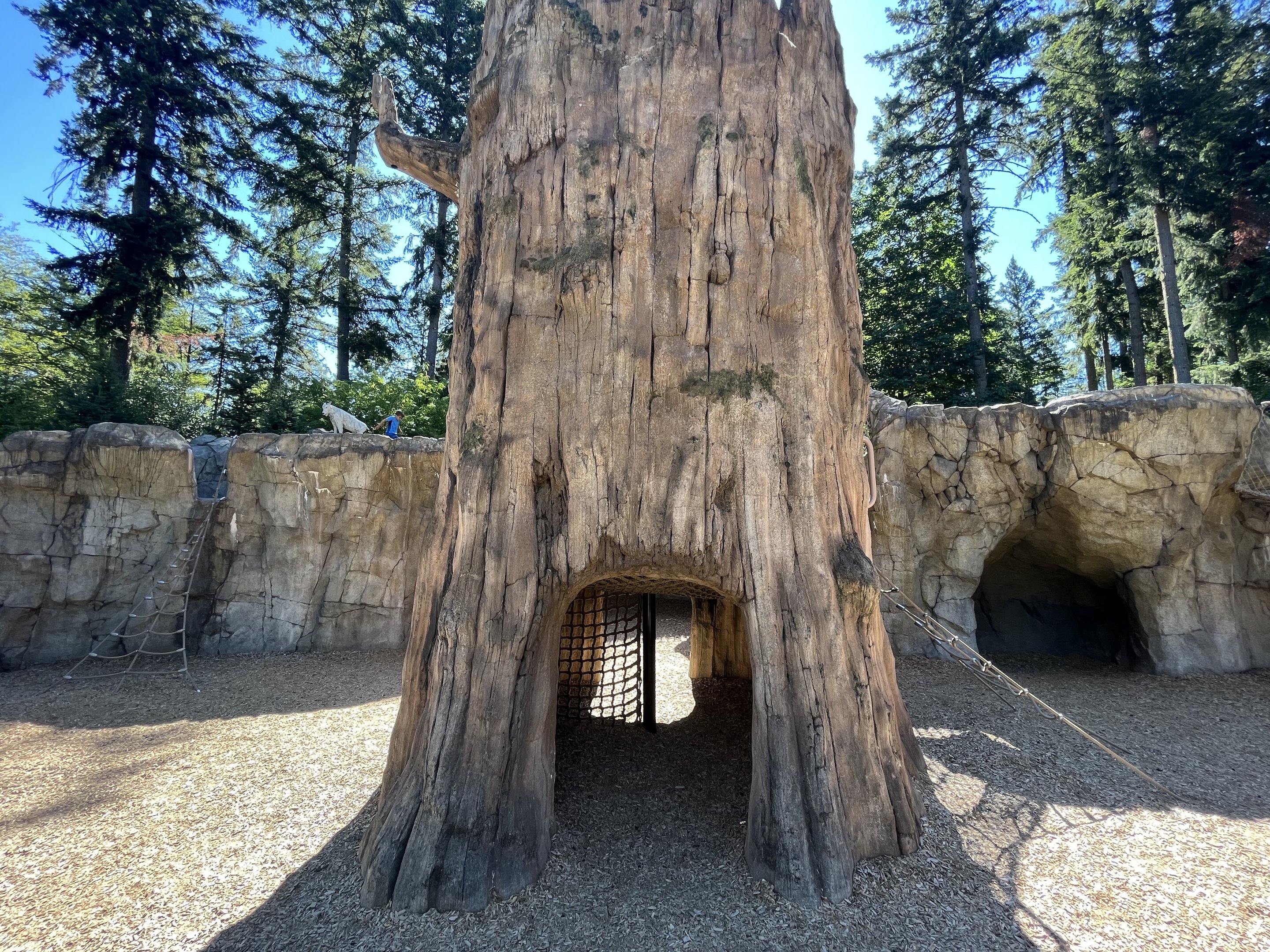 Kids’ Trek Play Area