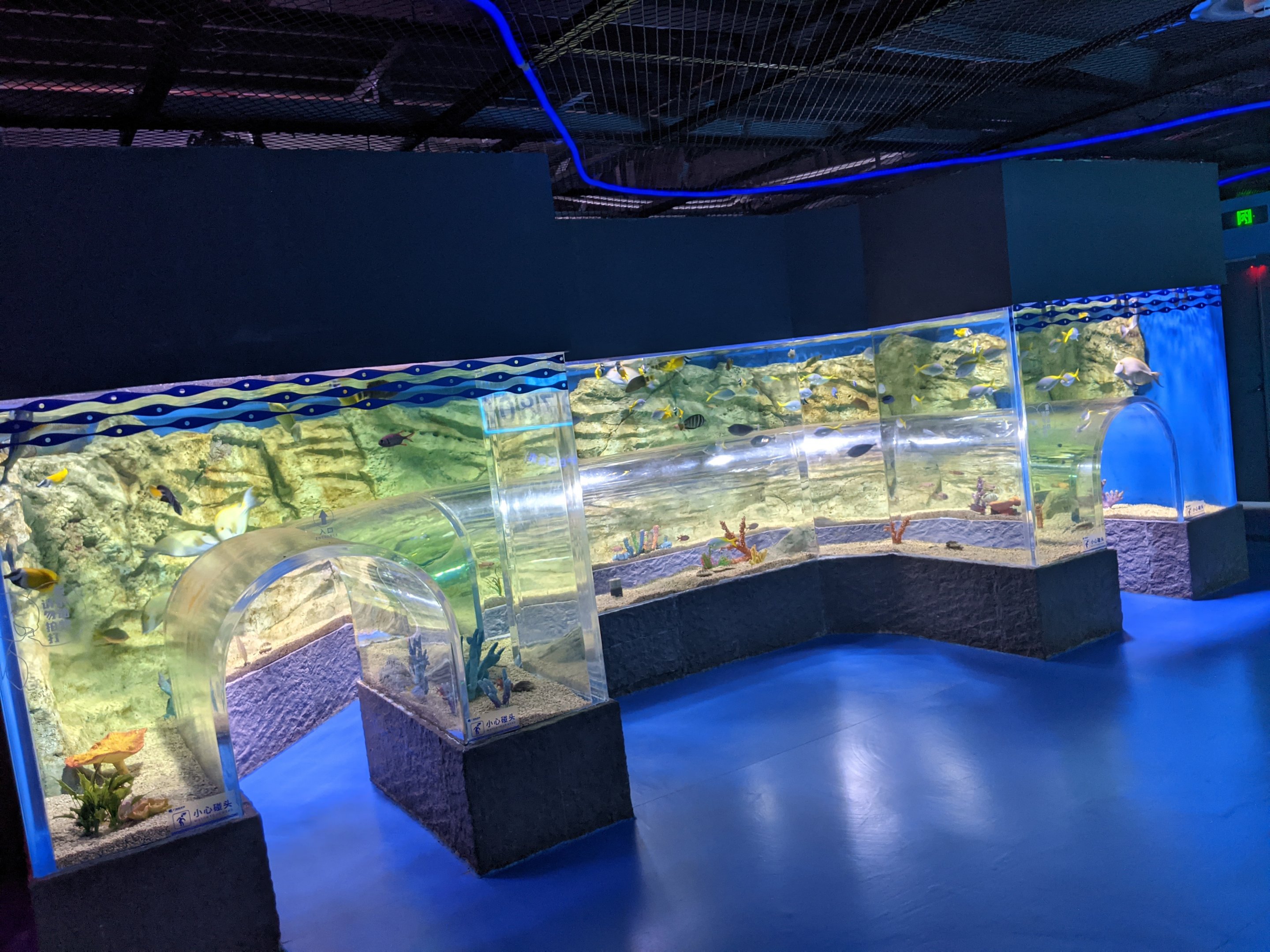 Kids' Tunnel Tank - Ocean World (Guangzhou)