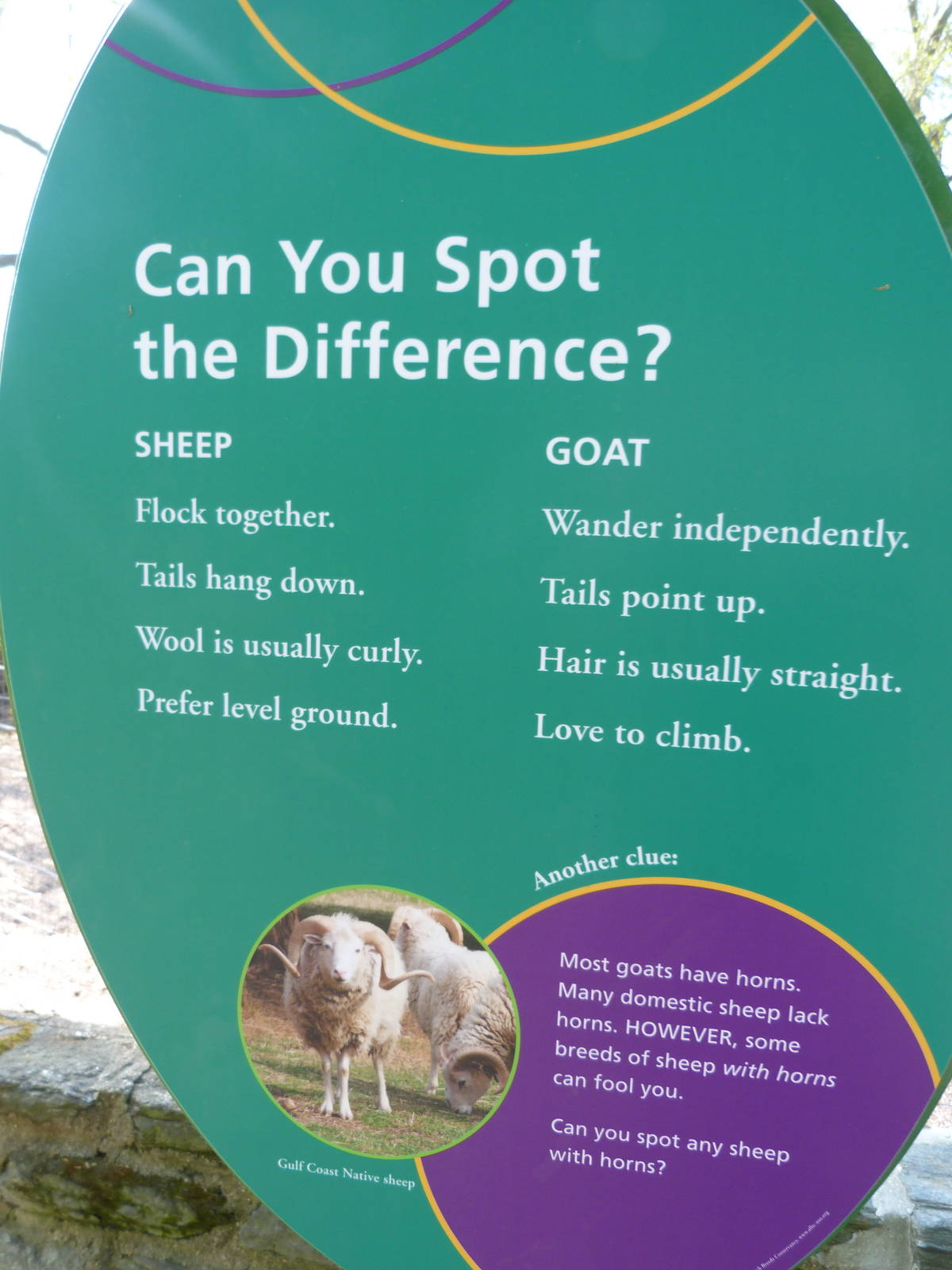Kids U: Sheep Sign