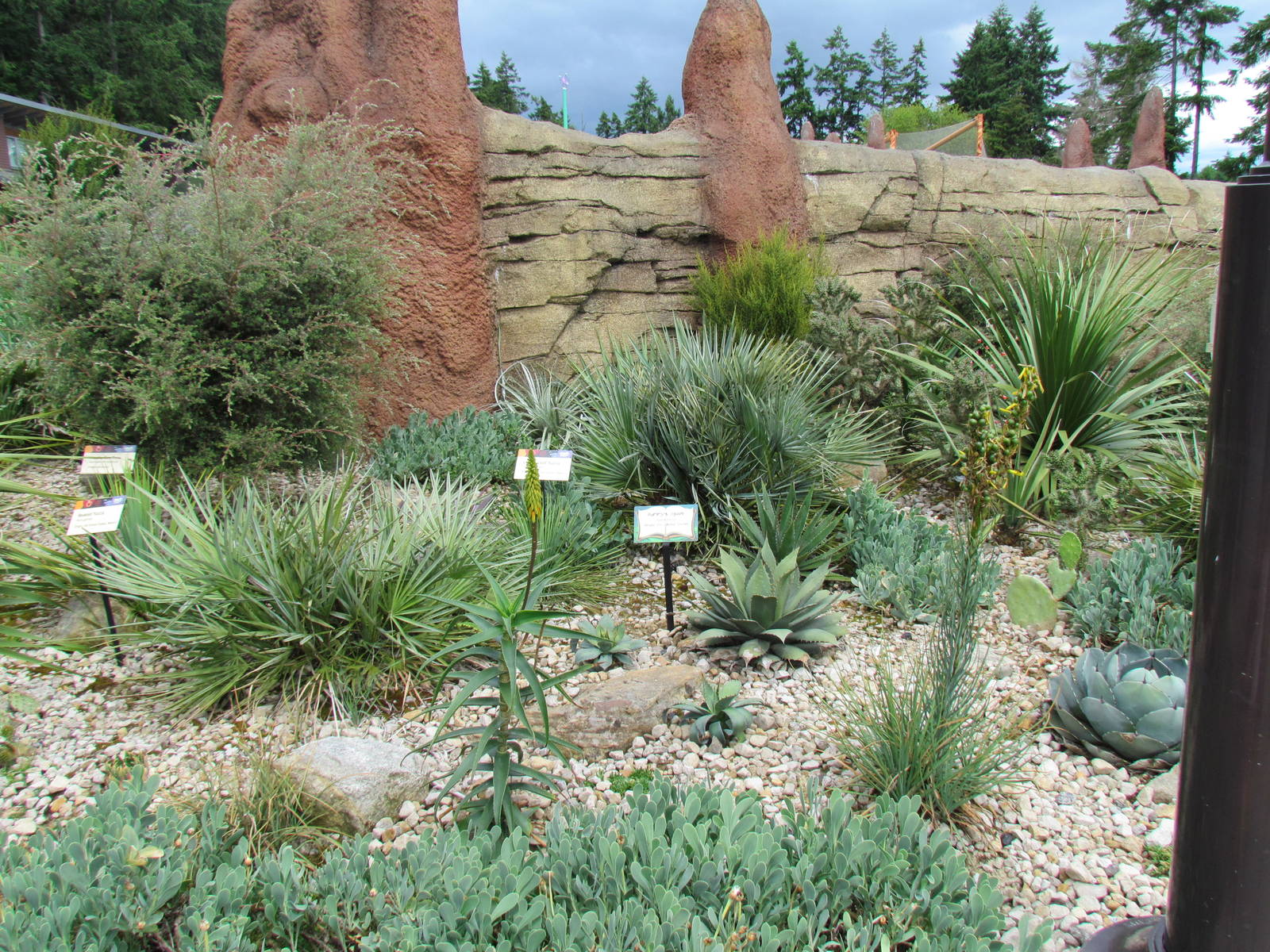 Kids Zone - Desert Garden outside Meerkat Exhibit