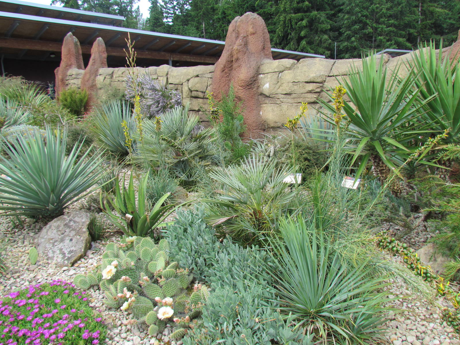 Kids Zone - Desert Garden outside Meerkat Exhibit