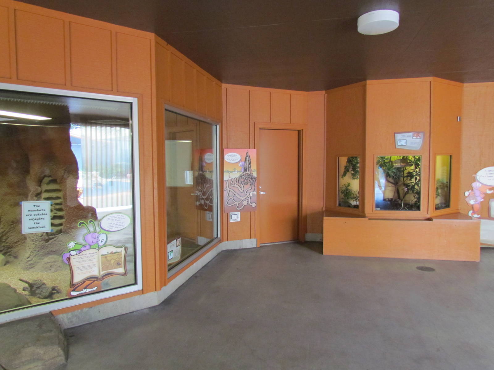 Kids Zone - Exhibits