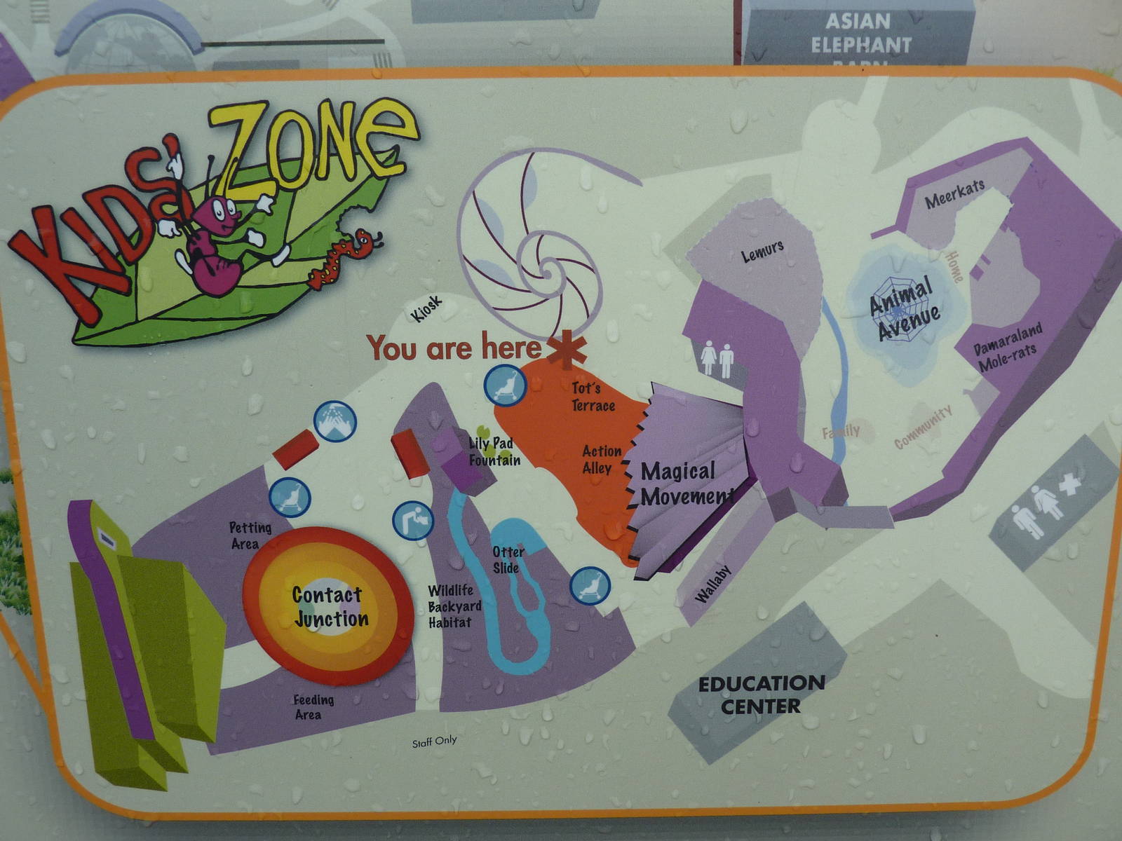 Kids' Zone Map