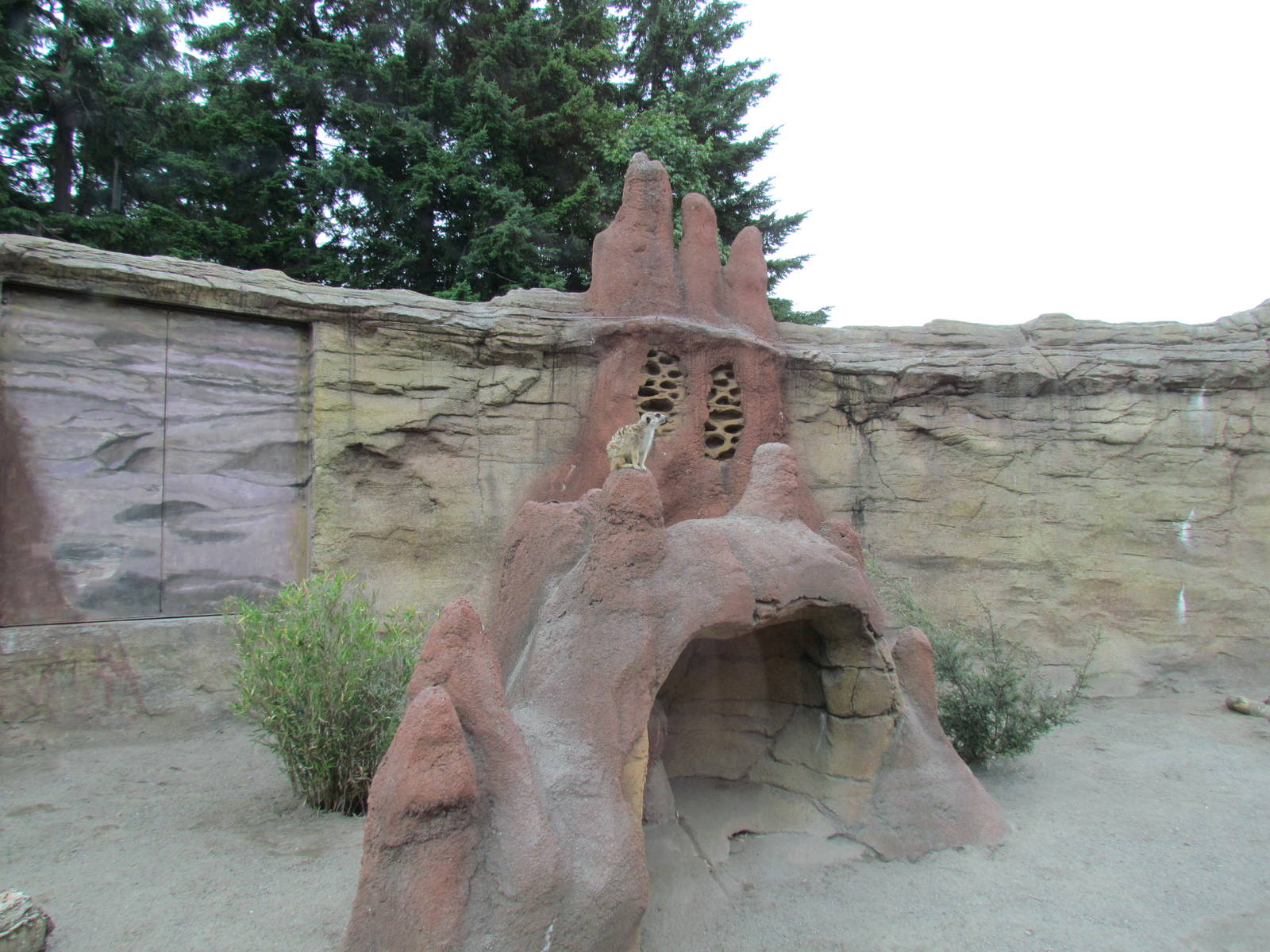 Kids Zone - Meerkat Exhibit