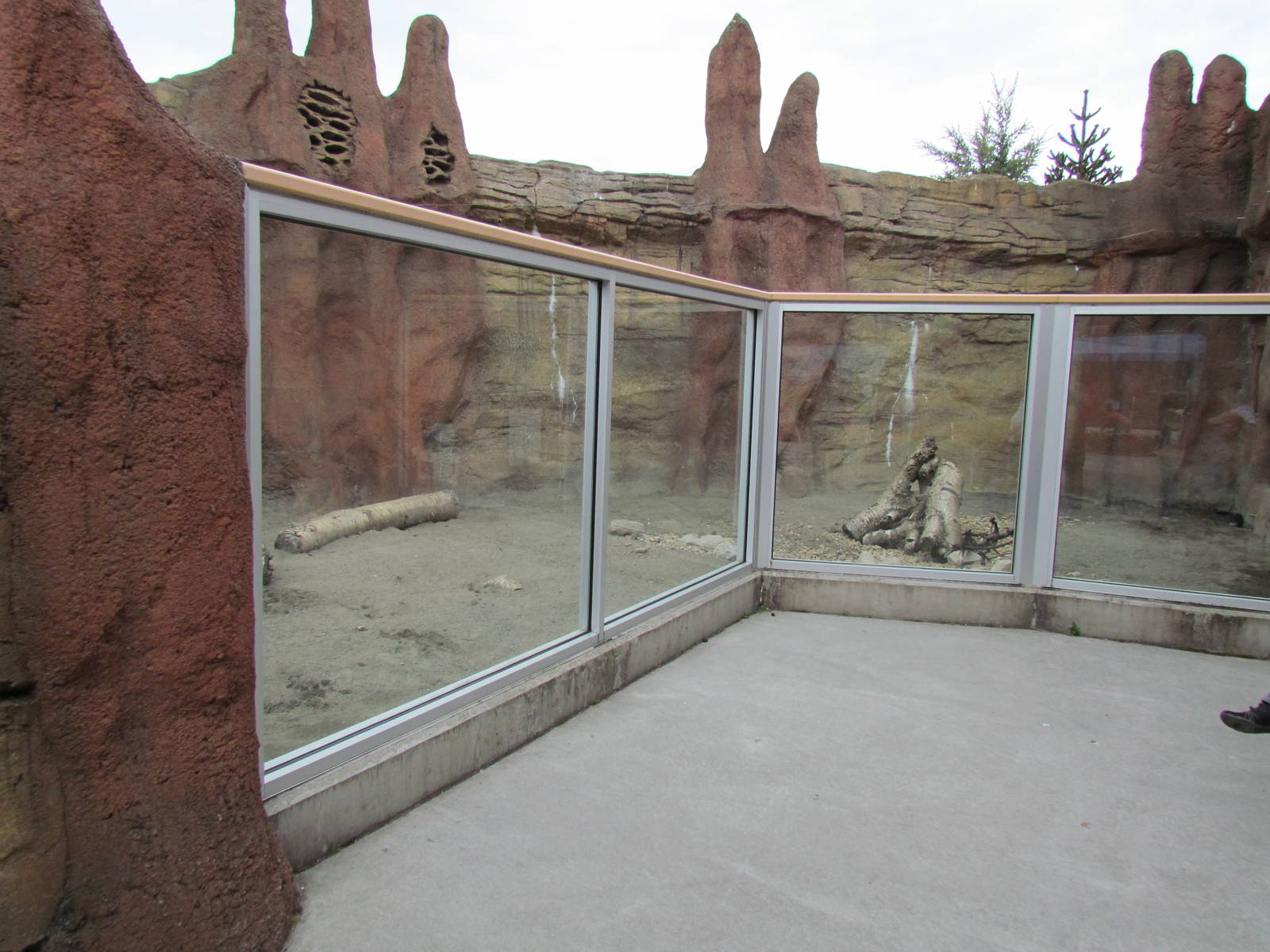 Kids Zone - Meerkat Exhibit