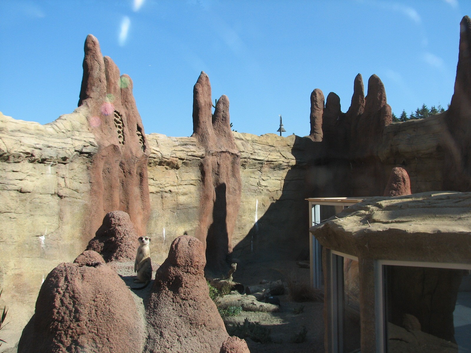 Kids Zone - Meerkat Exhibit
