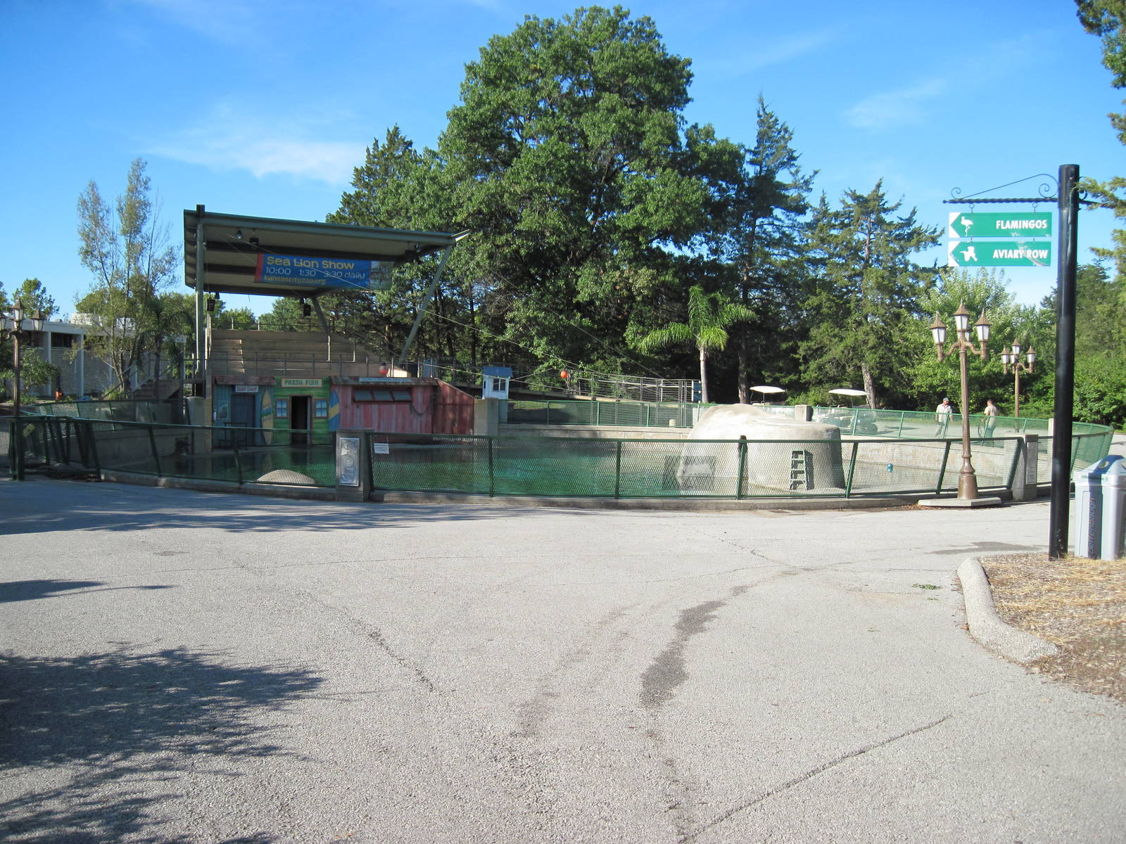 KidZone-California Sea Lion Exhibit