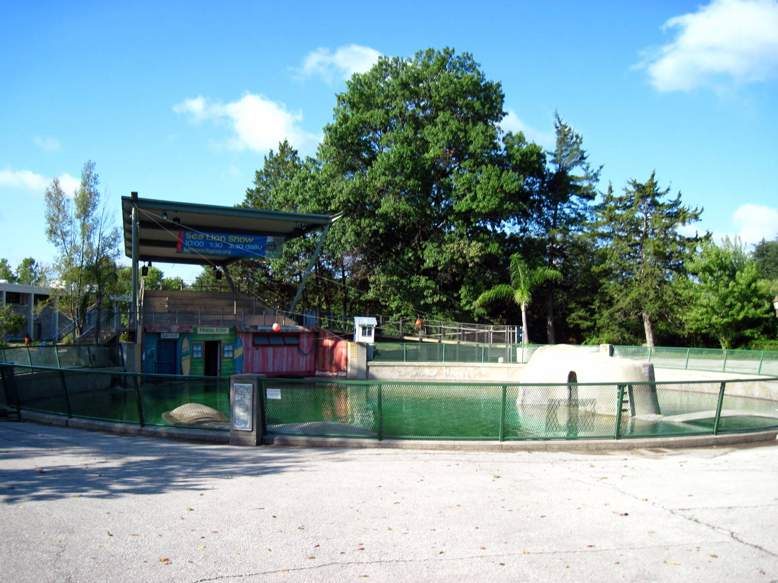 KidZone-California Sea Lion Pool
