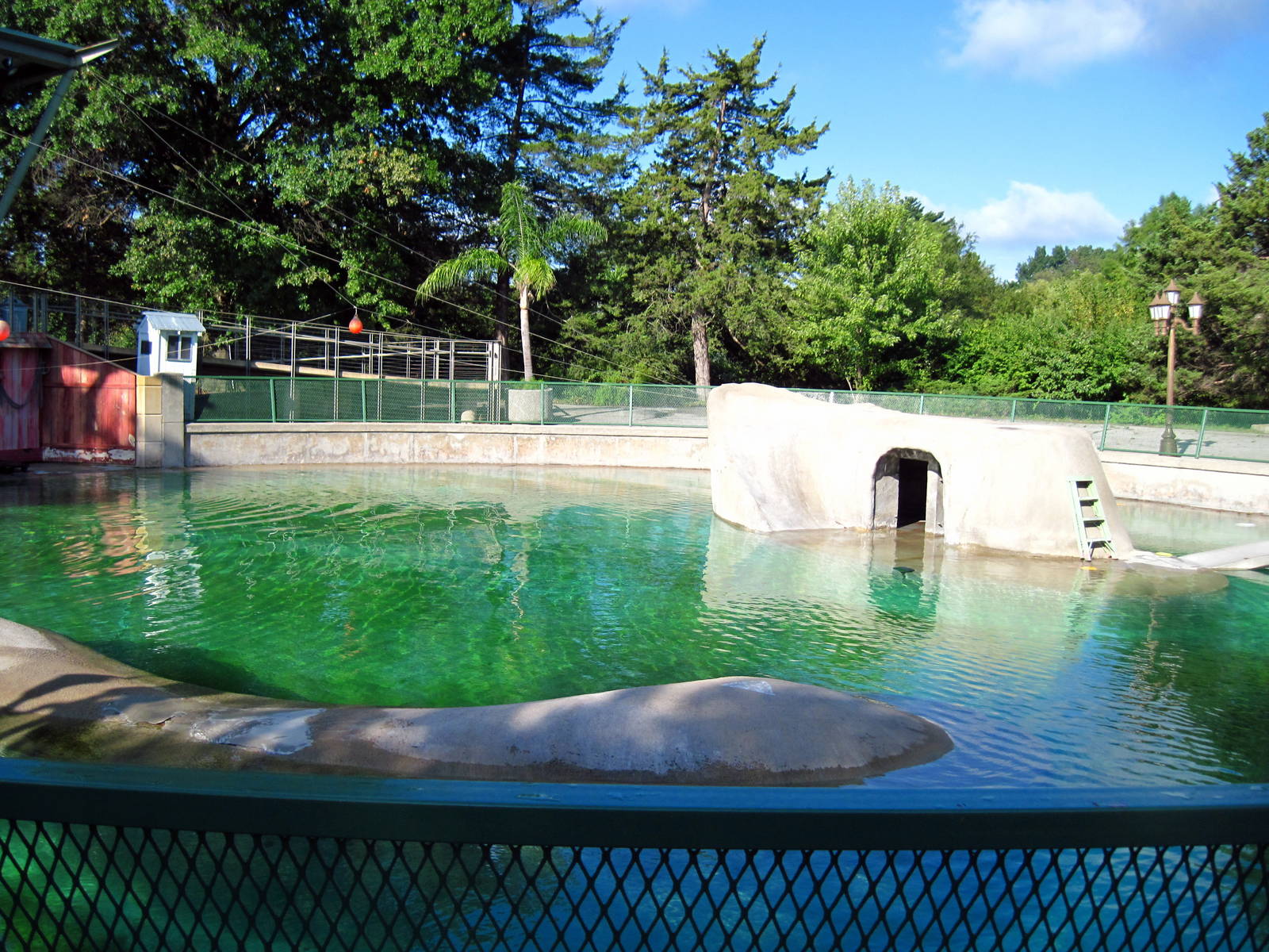 KidZone-California Sea Lion Pool