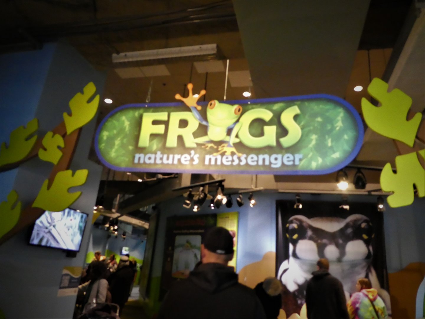 KidZone - Frogs: Nature's Messengers Entrance