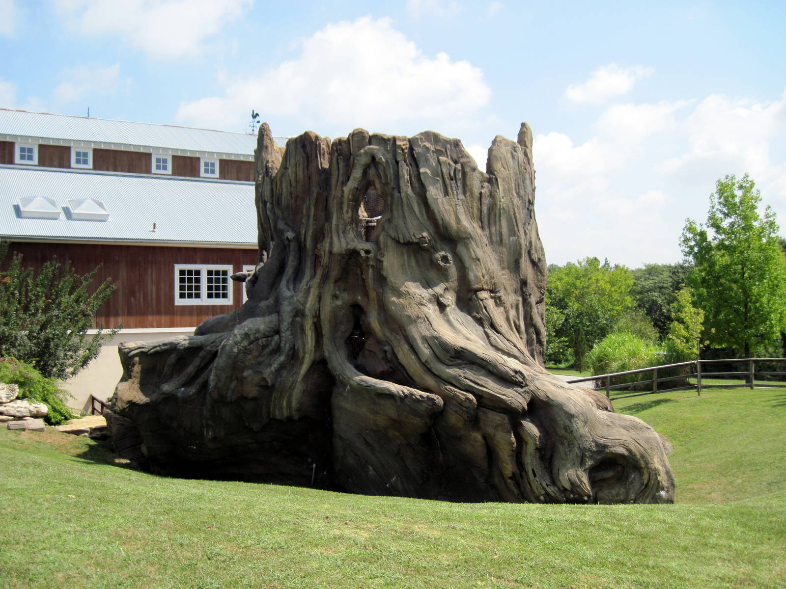 KidZone-Peek-A-Boo Tree