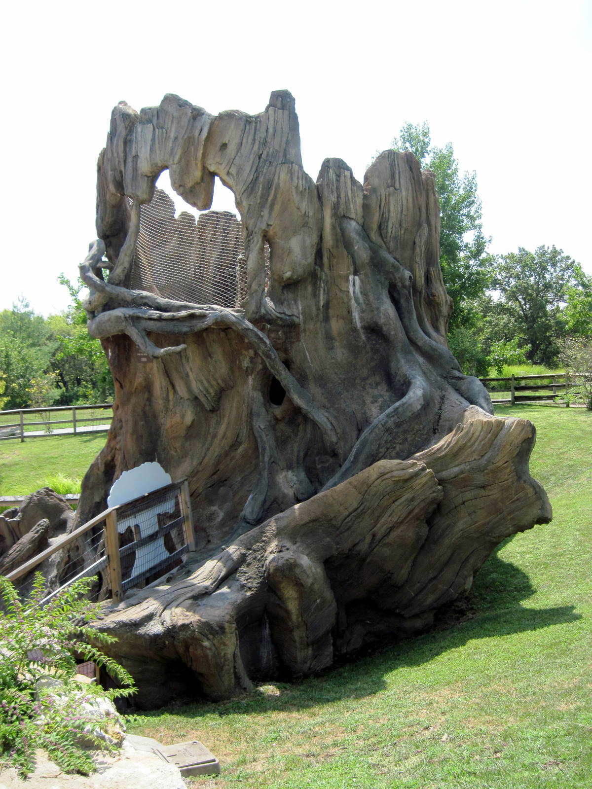 KidZone-Peek-A-Boo Tree