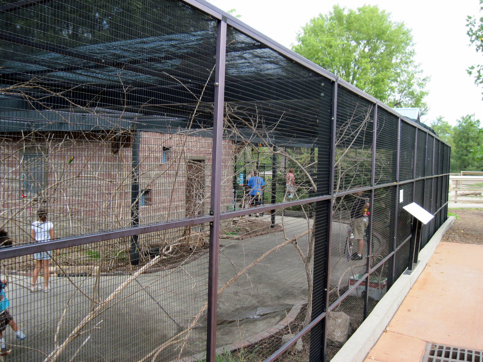 KidZone-Rainbow Lorikeet Exhibit