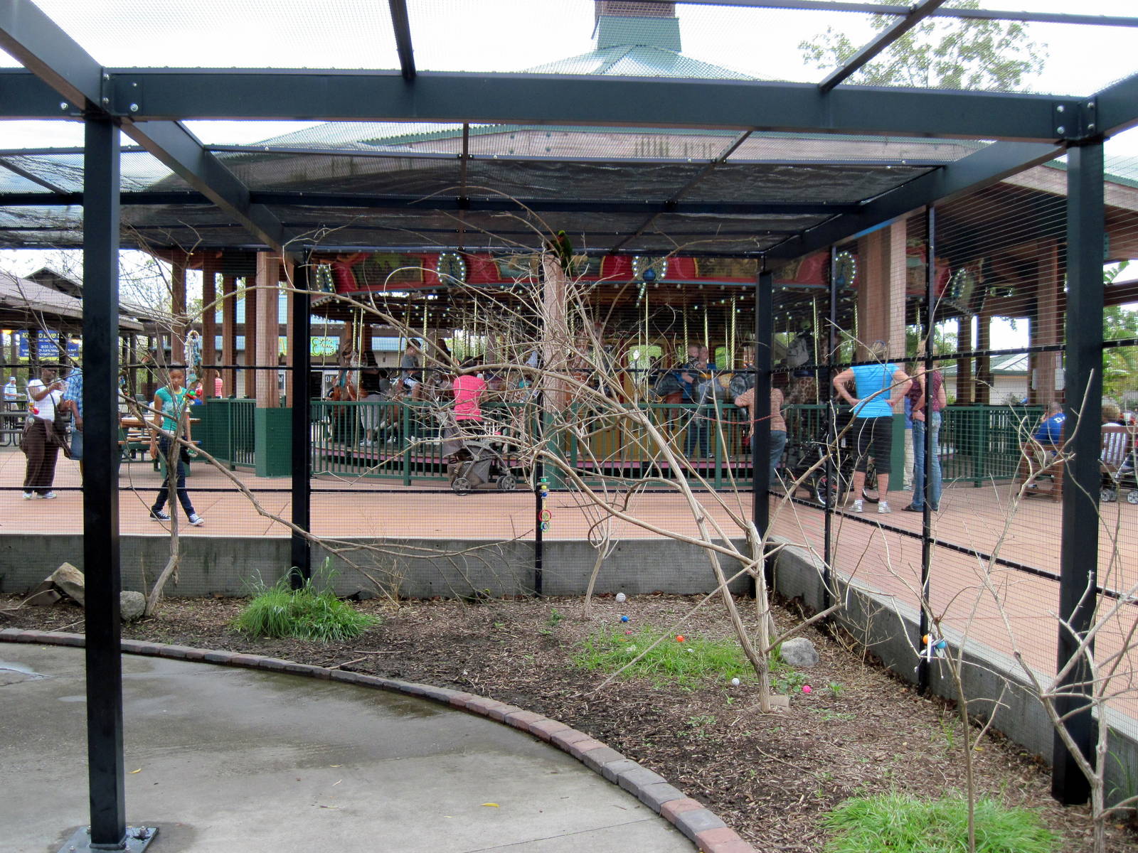 KidZone-Rainbow Lorikeet Exhibit