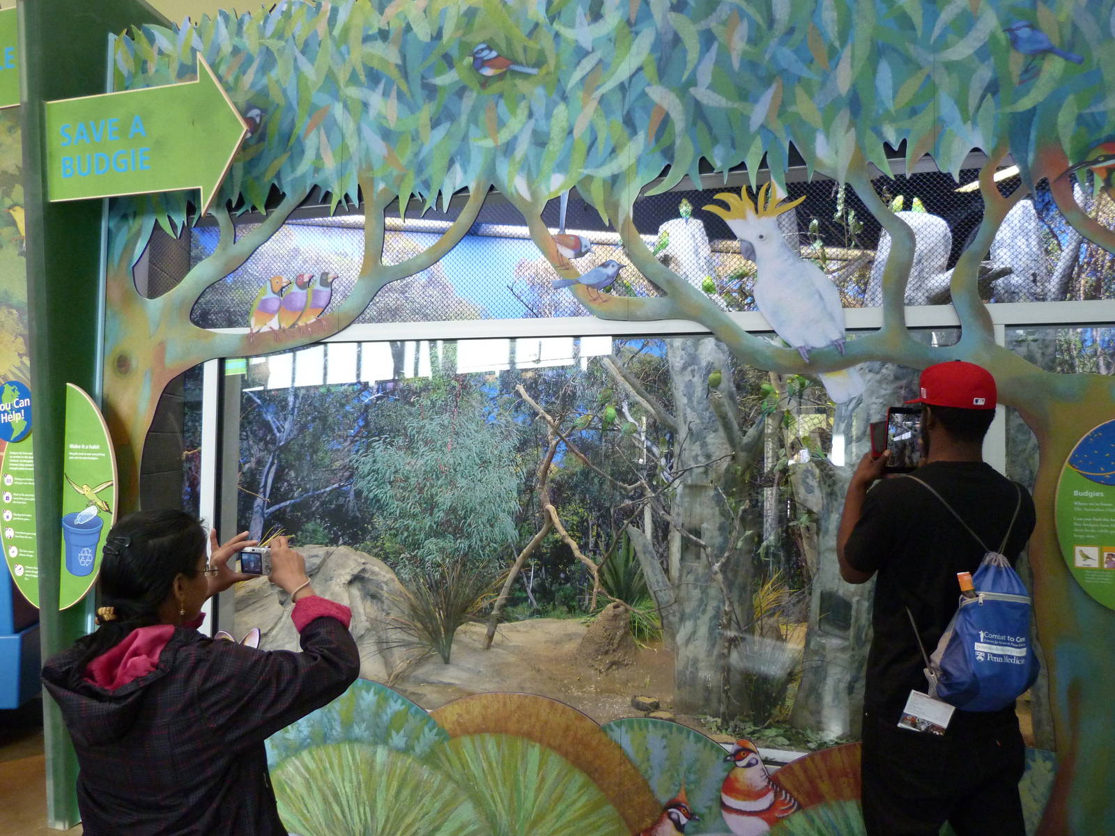 KidZoo U: Budgie Exhibit