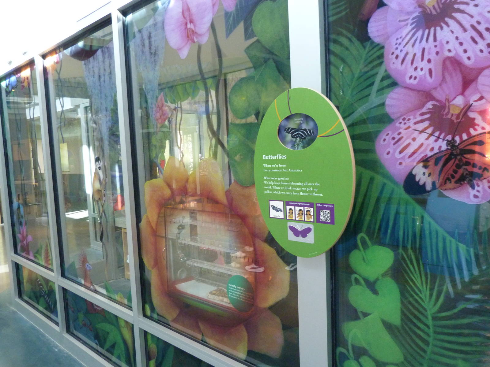 KidZoo U: Butterfly Exhibit