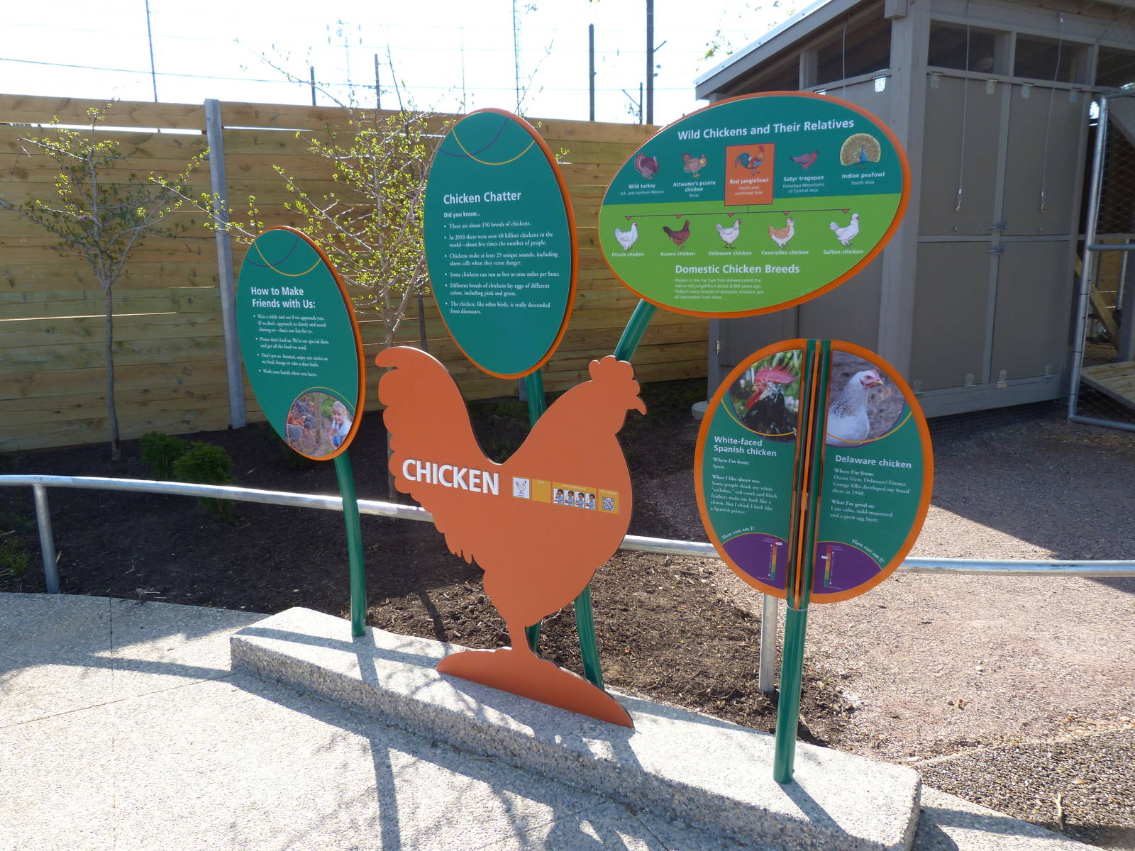 KidZoo U: Chicken Graphics