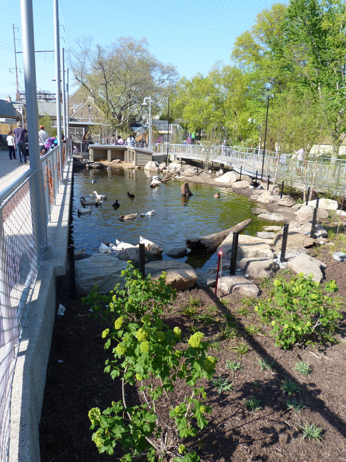 KidZoo U: Duck Pond