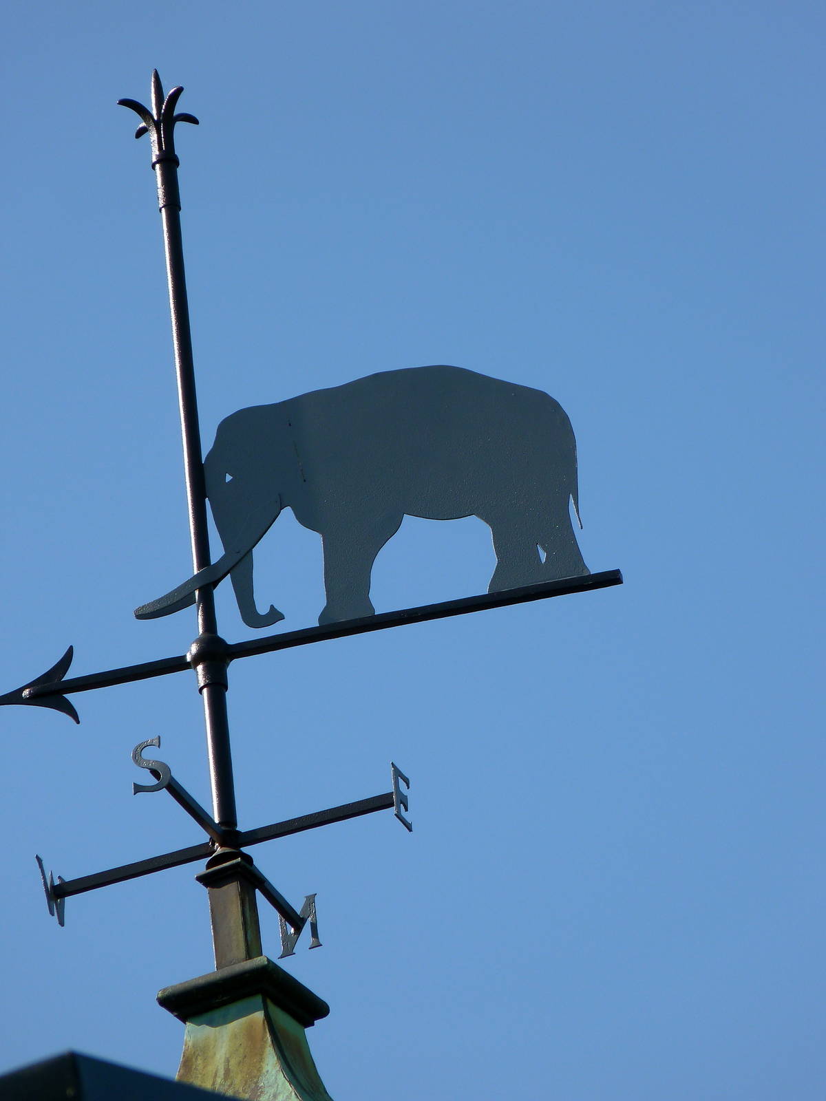 KidZoo U: Elephant Weather Vane