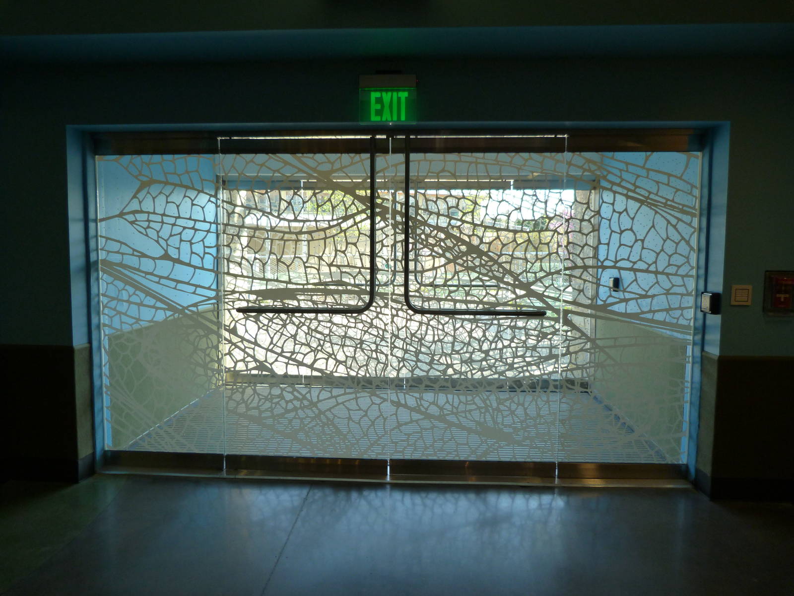 KidZoo U: Glassed Doors