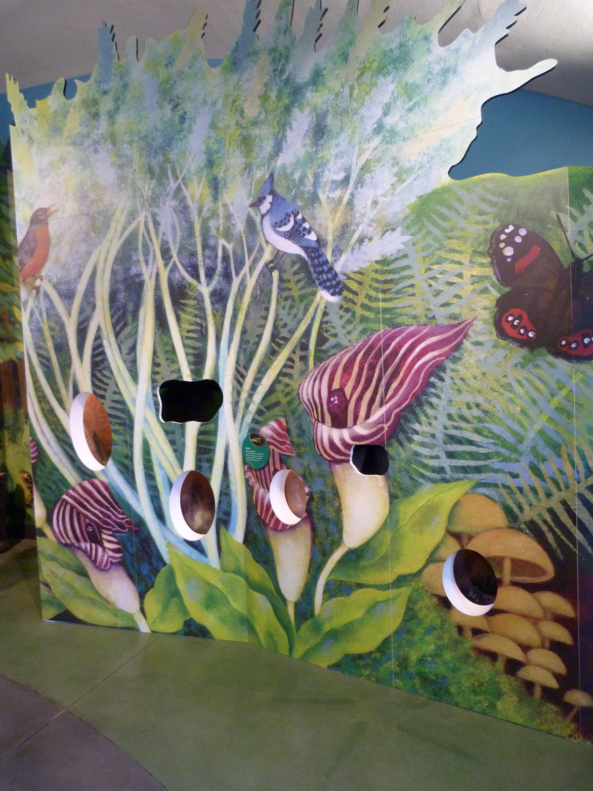 KidZoo U: Insect Exhibits