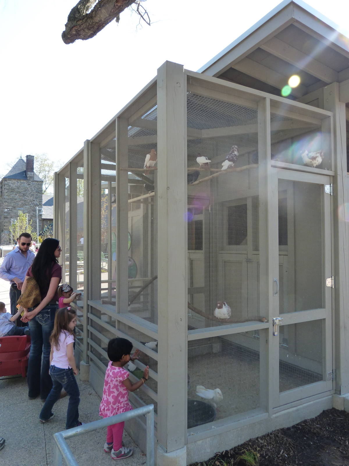 KidZoo U: Pigeon Exhibit