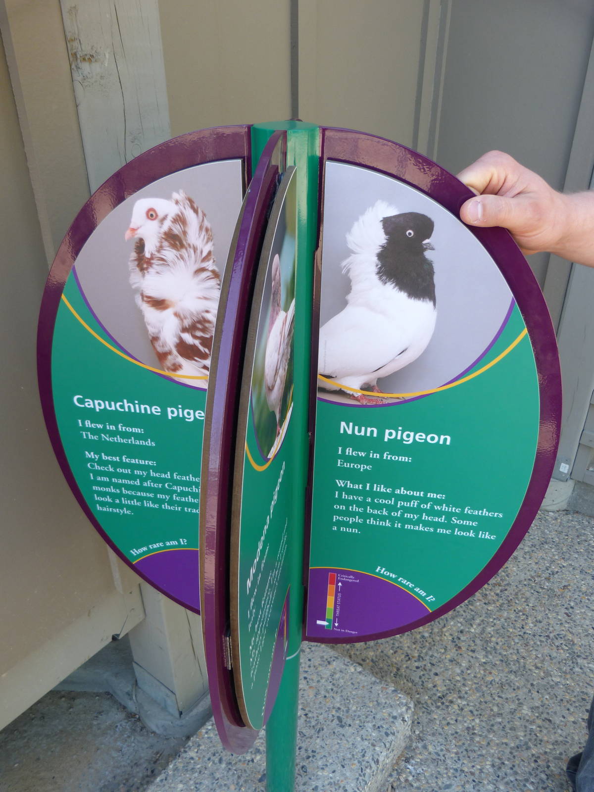 KidZoo U: Pigeon Sign