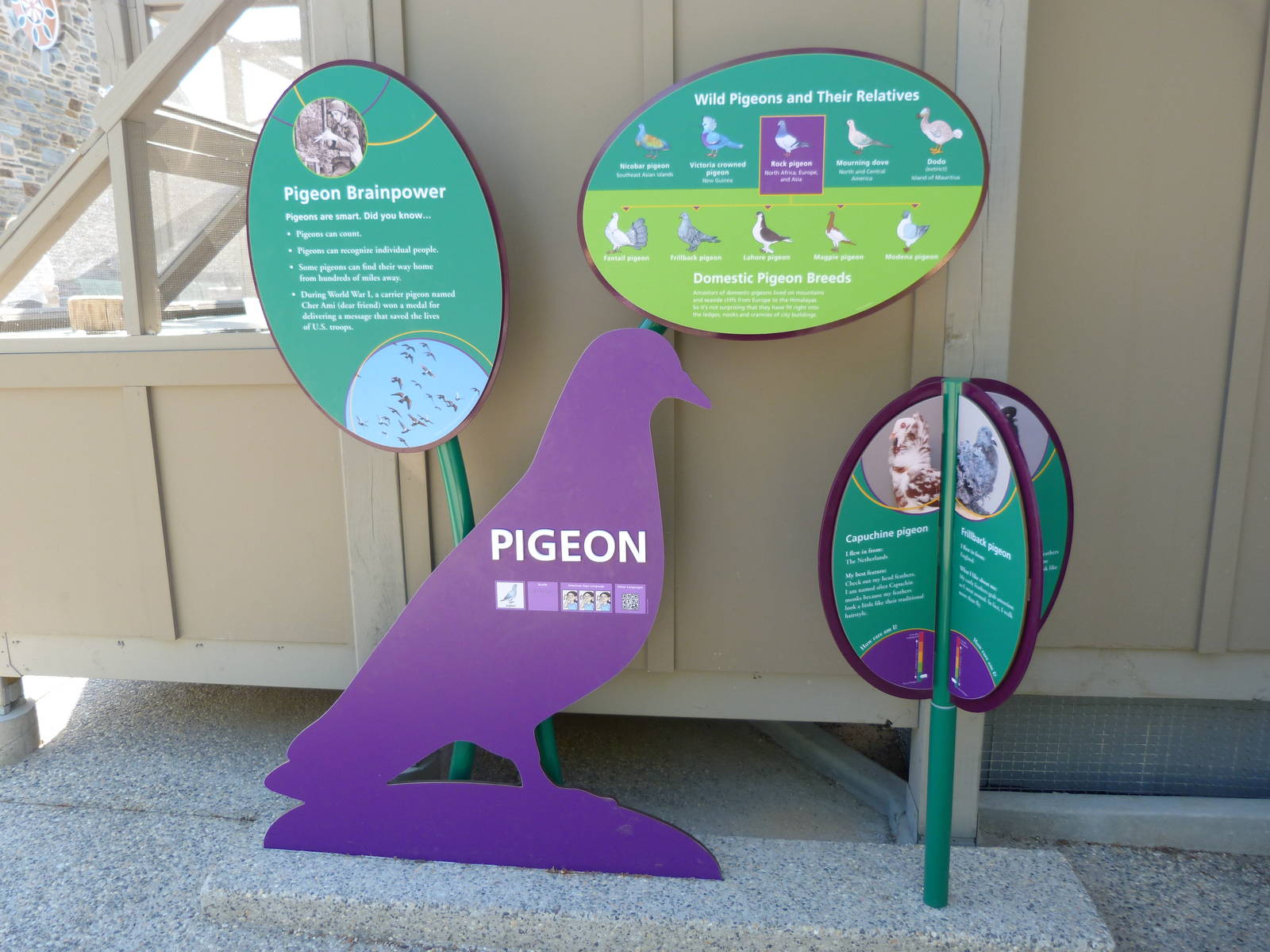 KidZoo U: Pigeon Sign