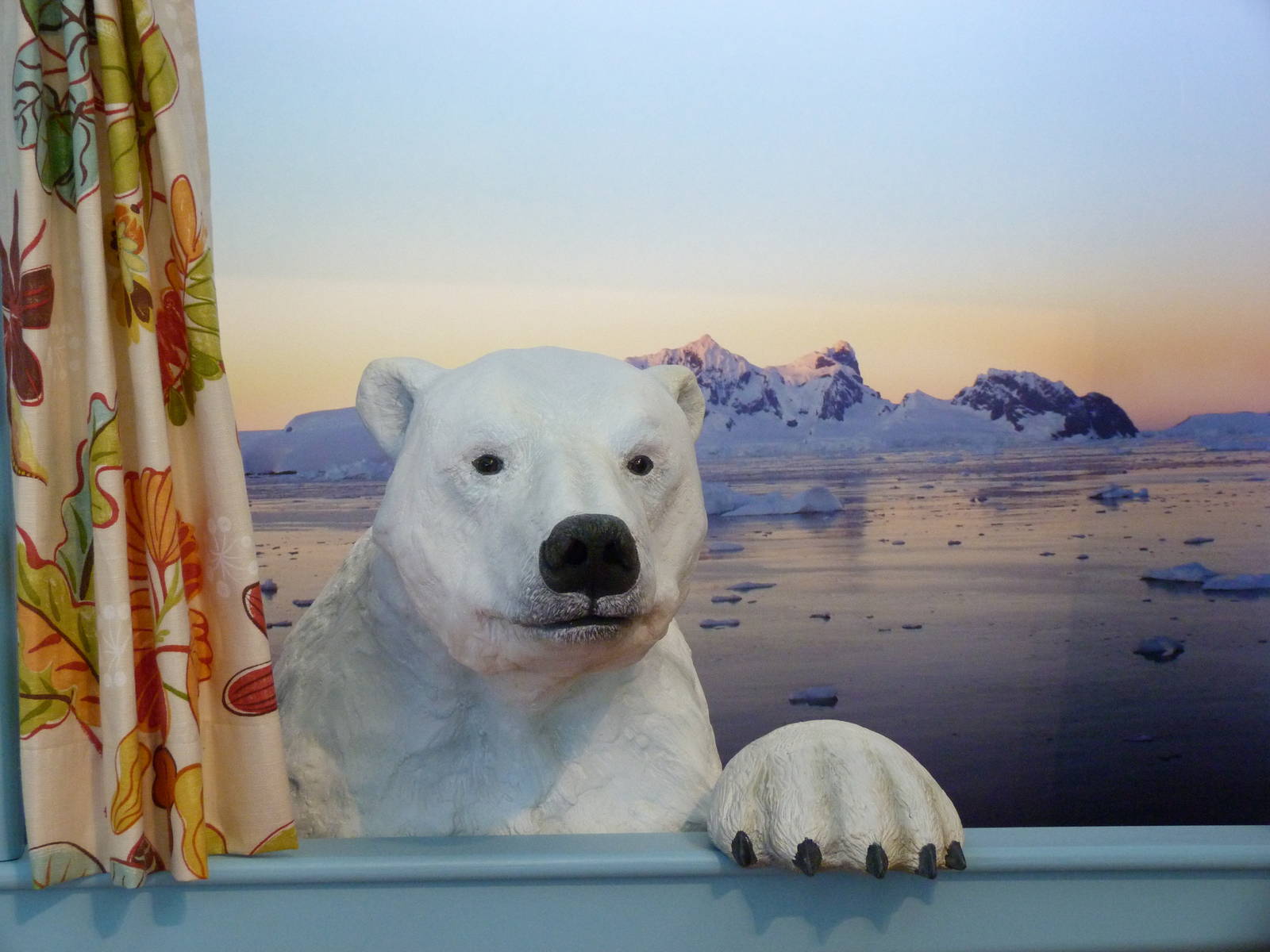 KidZoo U: Polar Bear in the Window