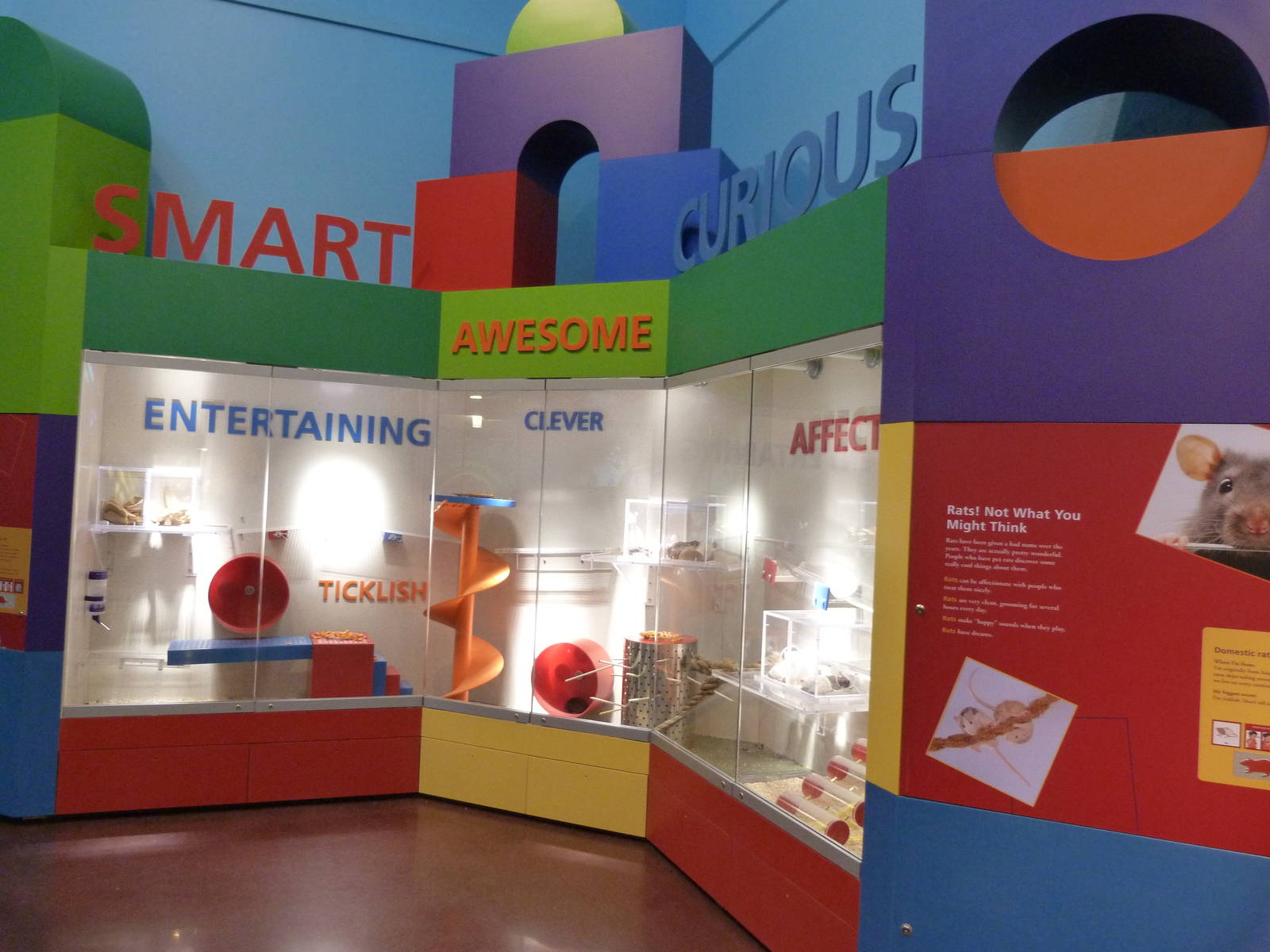 KidZoo U: Rat Exhibit