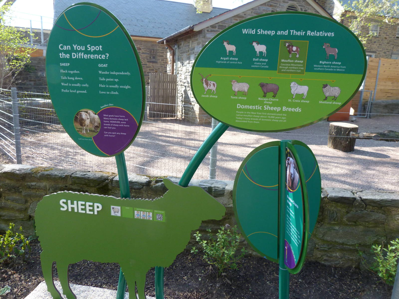 KidZoo U: Sheep Sign