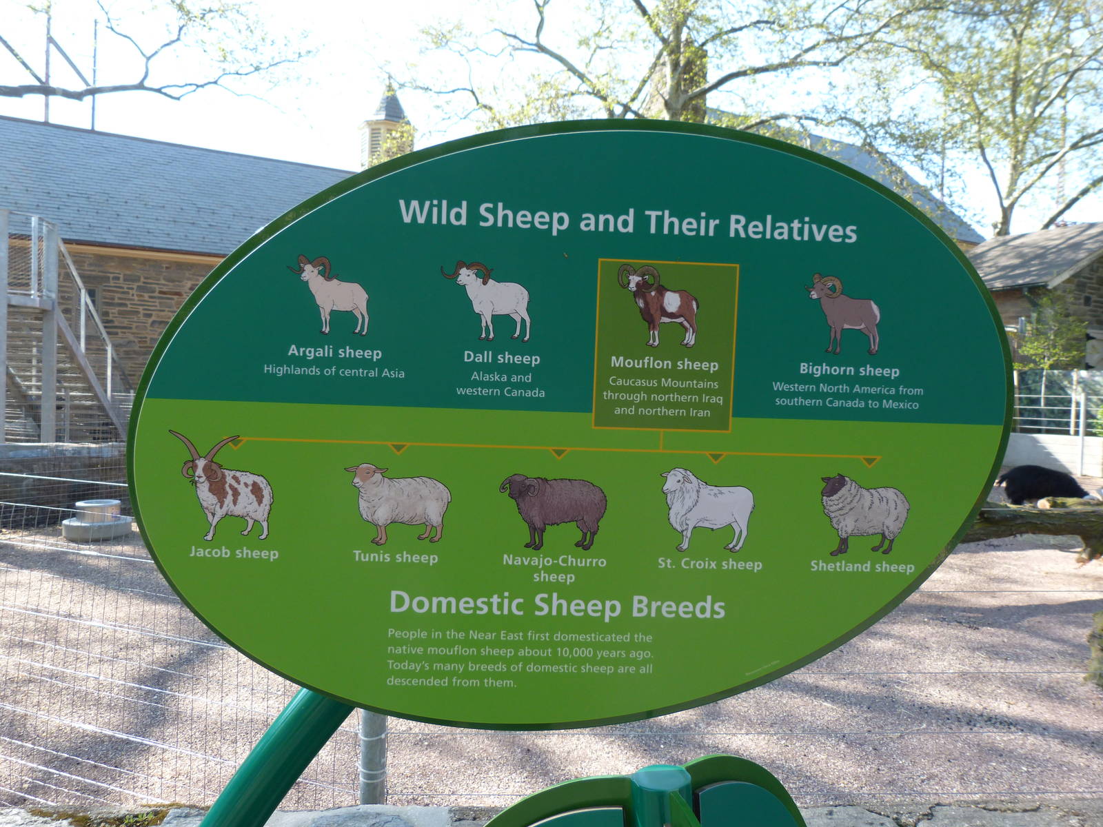 KidZoo U: Sheep Sign