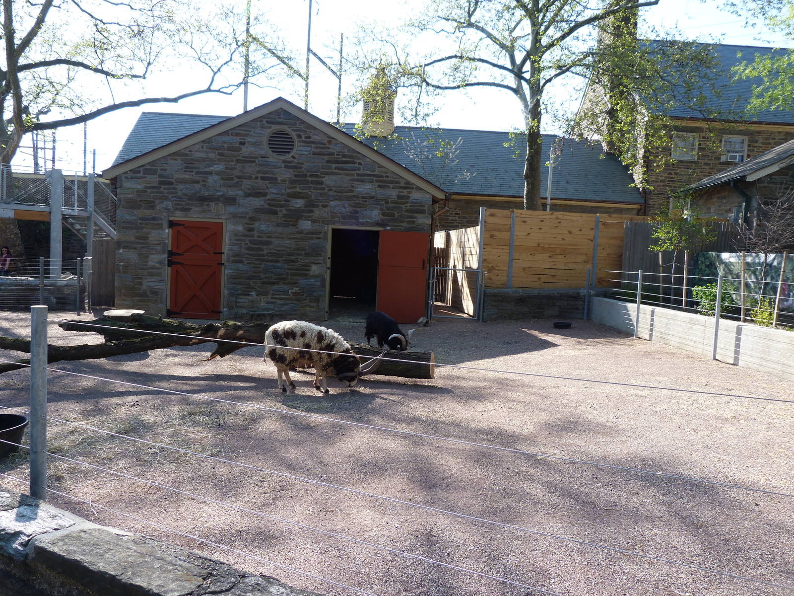 KidZoo U: Sheep Yard