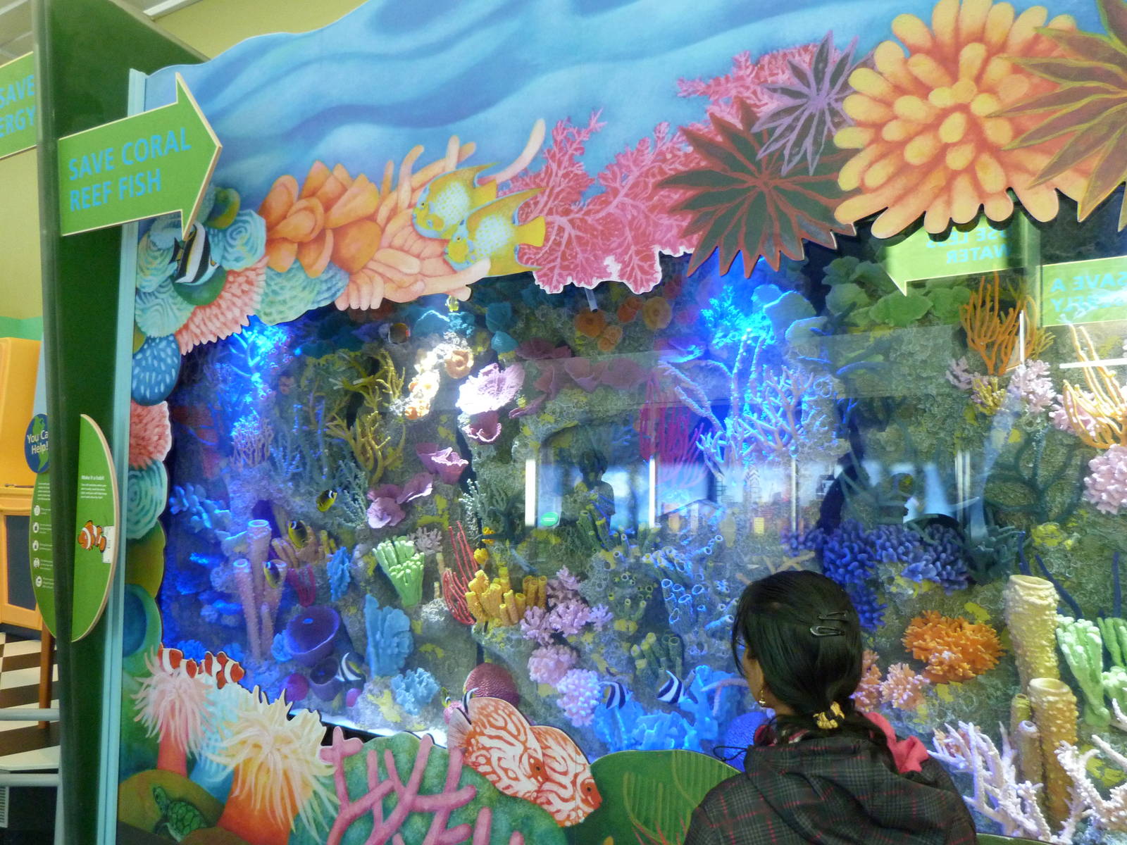 KidZoo U: Tropical Fish Exhibit