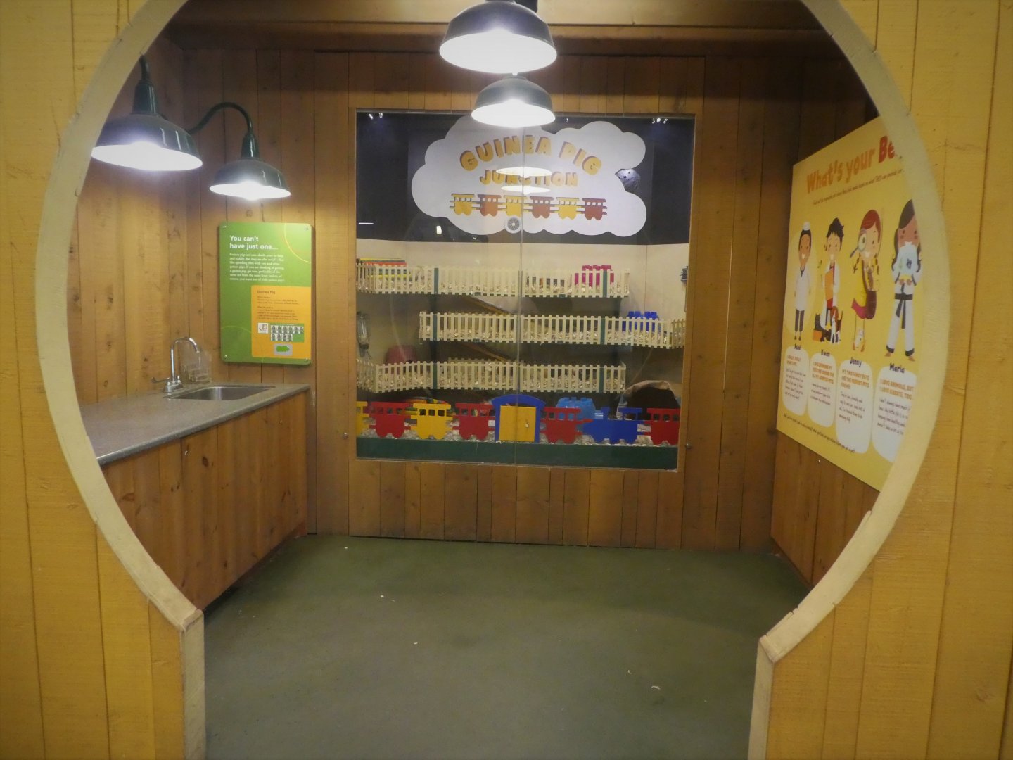 KidZooU - Faris Family Education Center - Domestic Guinea Pig Exhibit