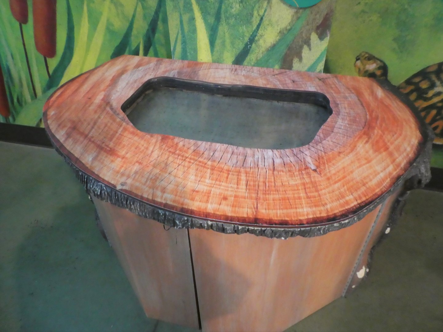 KidZooU - Faris Family Education Center - Harlequin Flower Beetle Exhibit