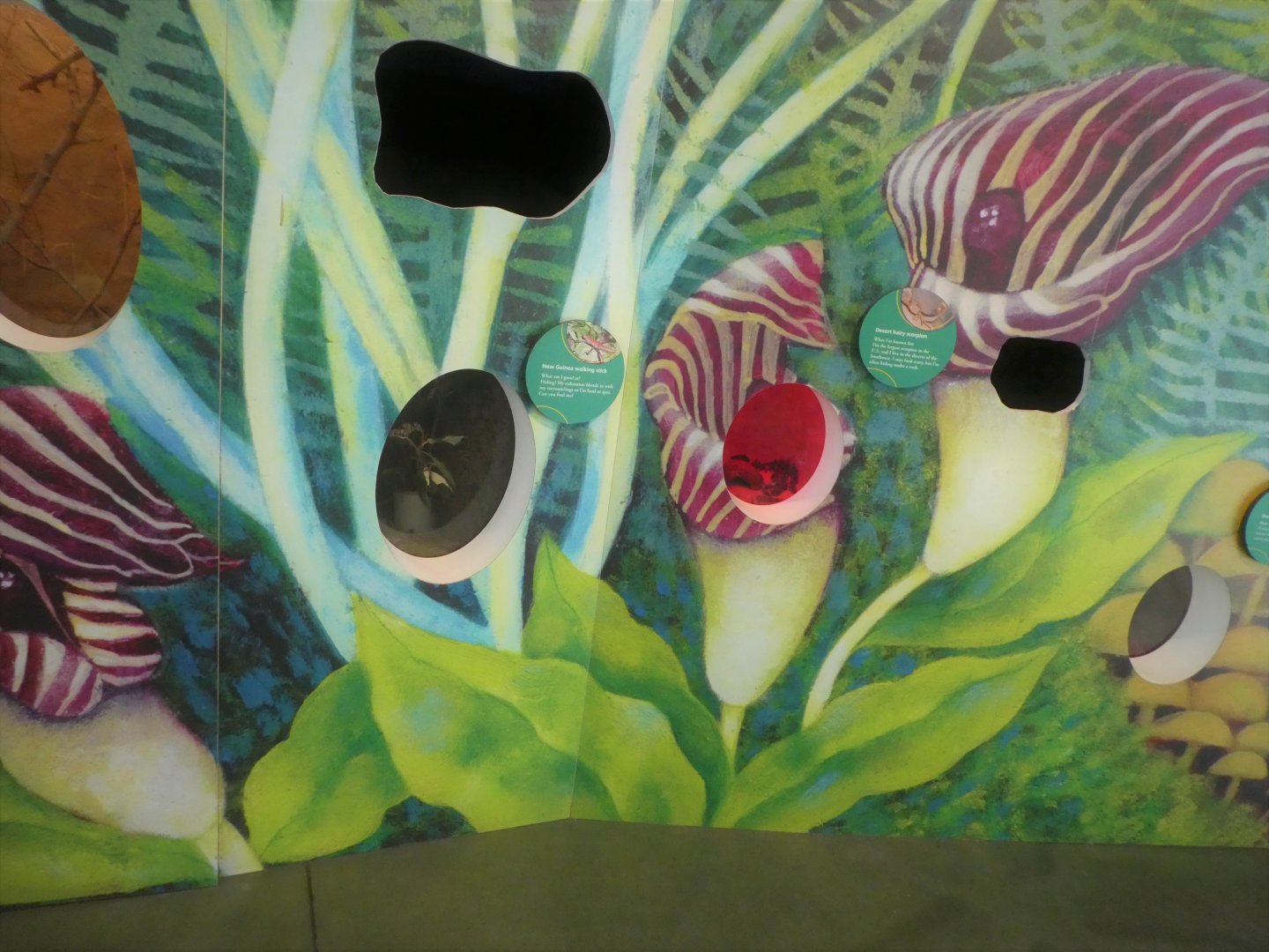 KidZooU - Faris Family Education Center - Insect Wall